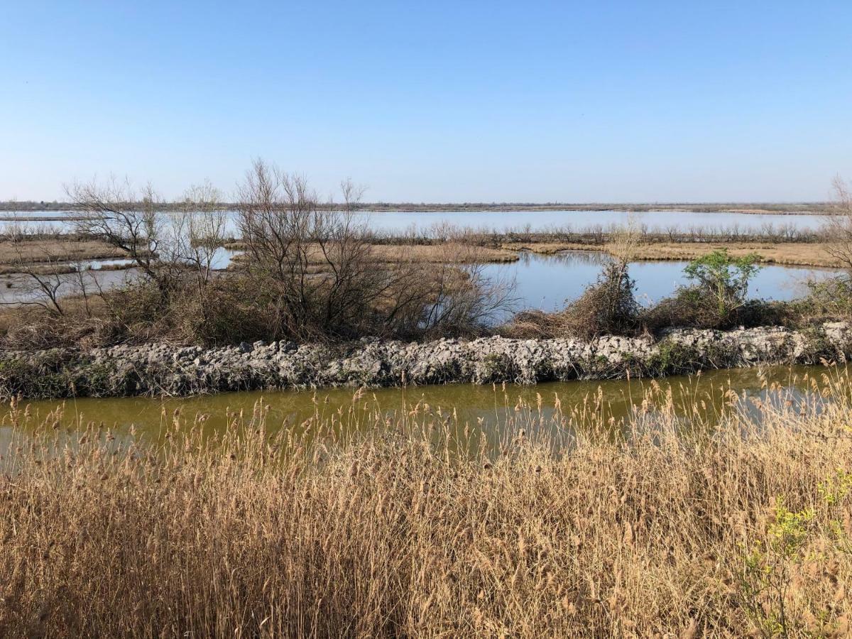 Villa Paolo San Donà di Piave Dış mekan fotoğraf